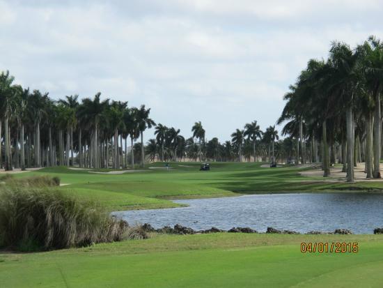 Doral Resort